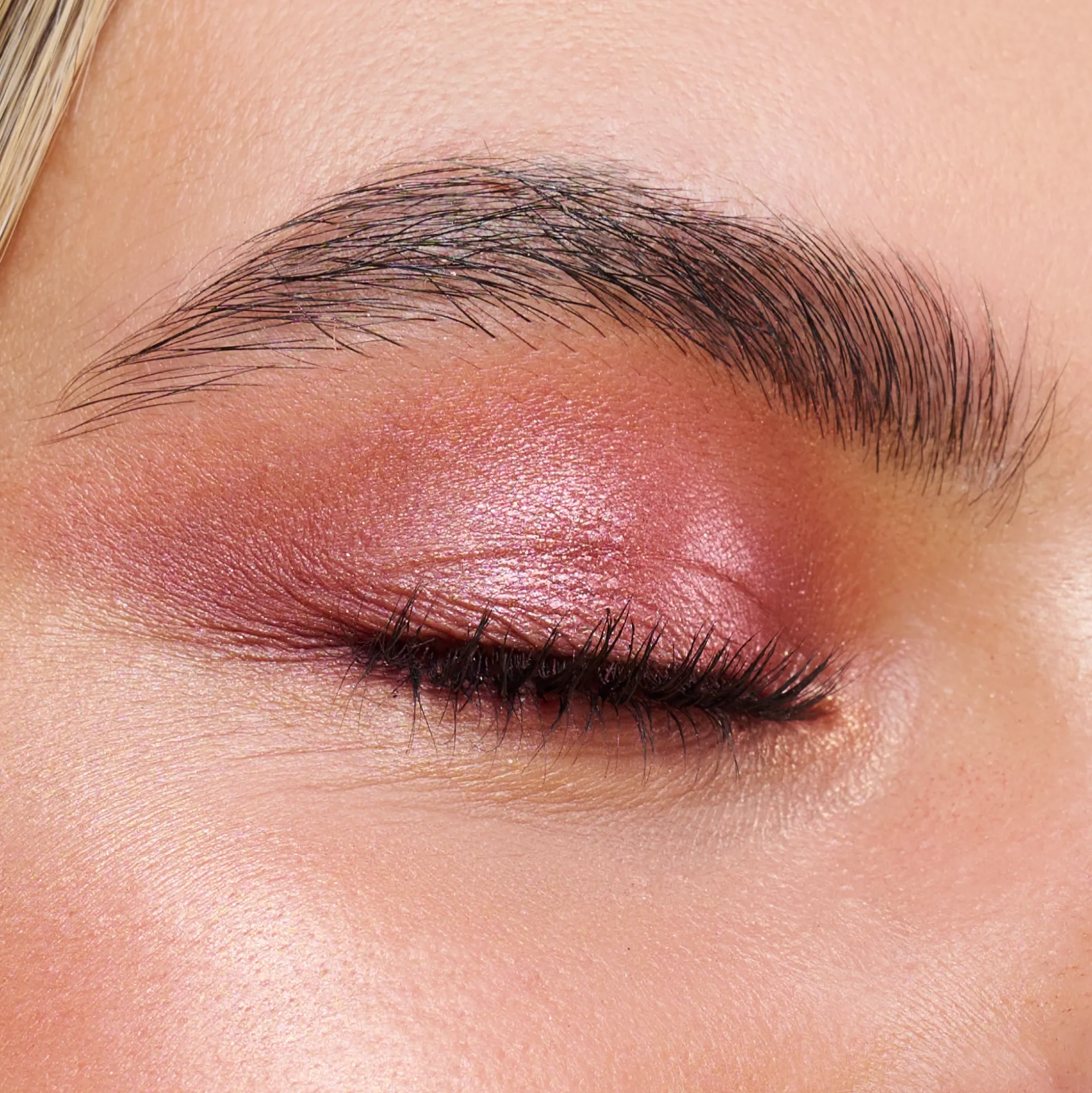 blooming_wings_oogschaduwpalet_3.webp Blooming Wings oogschaduwpalet^essence Best Sale