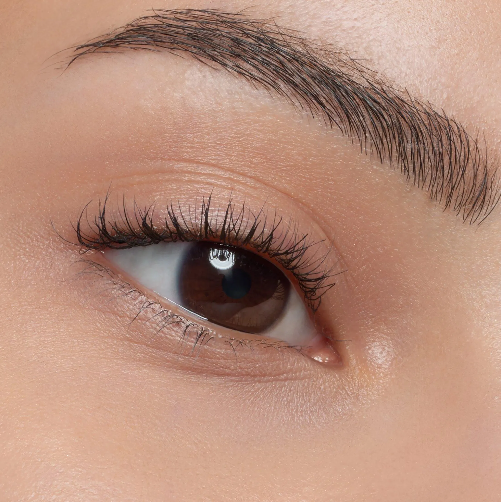 easy__wow_brow_set_light_3.webp easy & WOW brow set light^essence Online