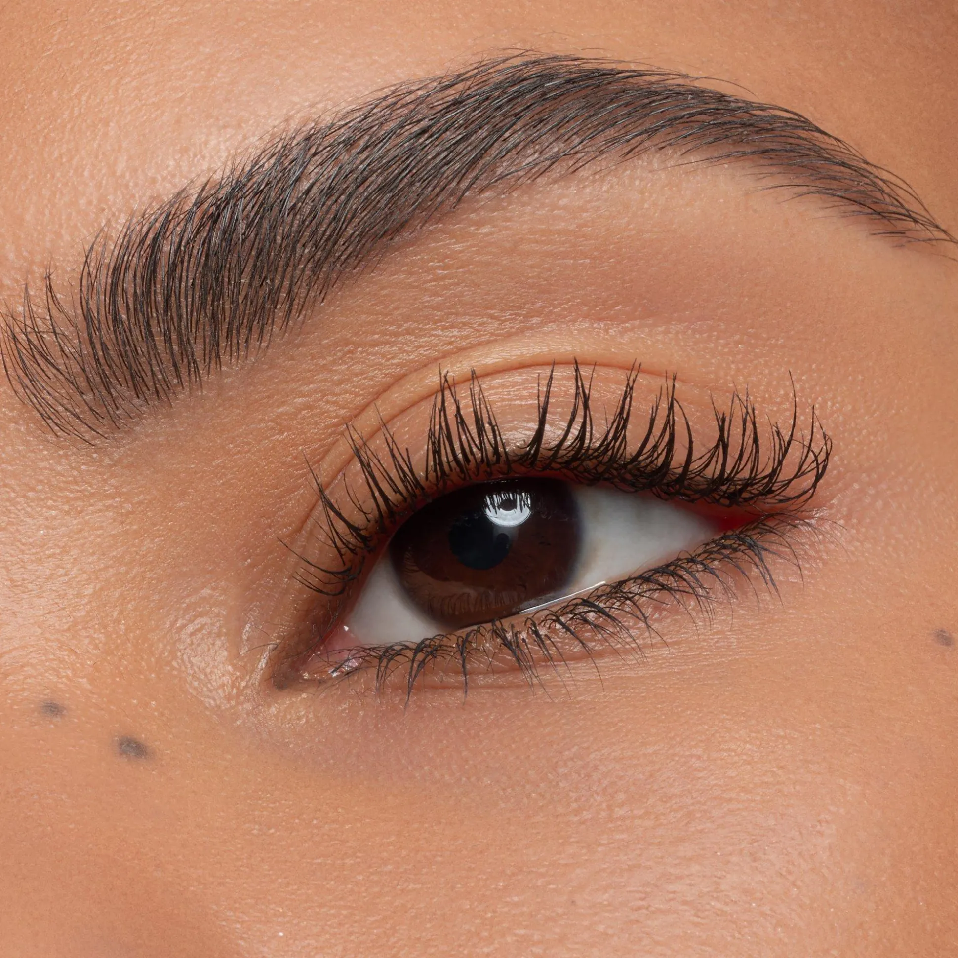 easy__wow_brow_set_medium_5.webp easy & WOW brow set medium^essence Flash Sale