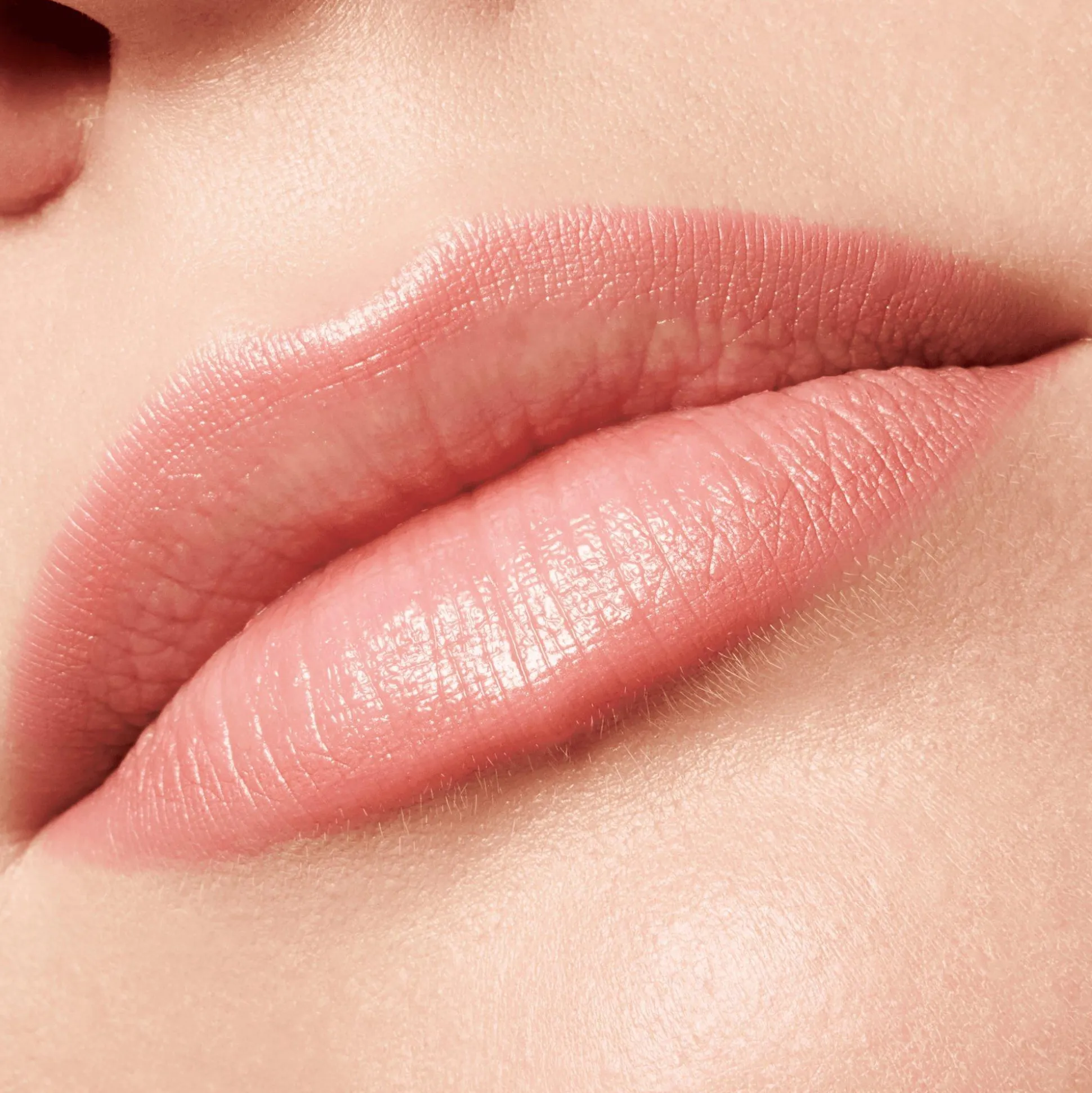 soft__precise_lip_penseel_5.webp soft & precise LIP PENSEEL^essence Cheap